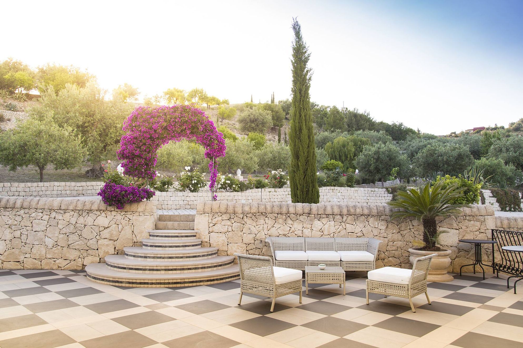 Tenuta Olive Alive - Gallery