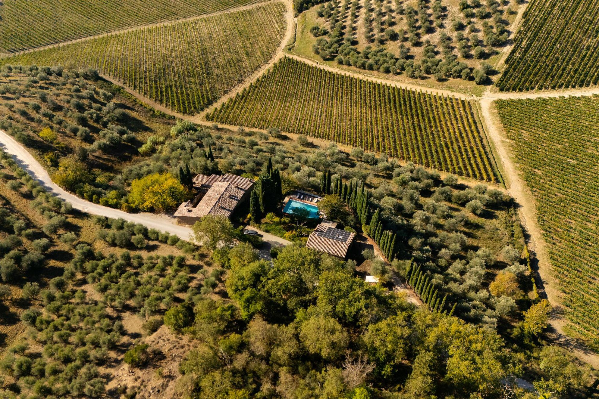 Il Fico in Chianti - Gallery