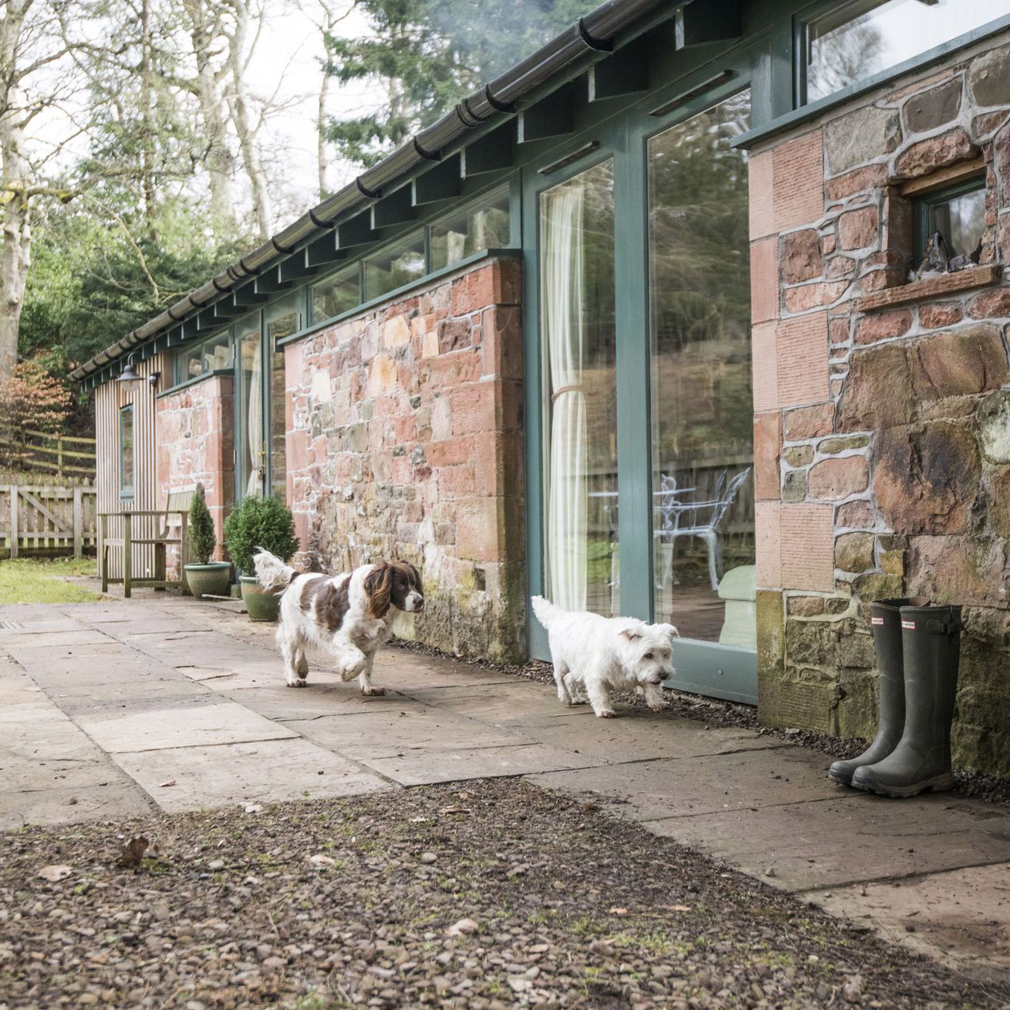 Alastair sawday dog friendly hot sale cottages