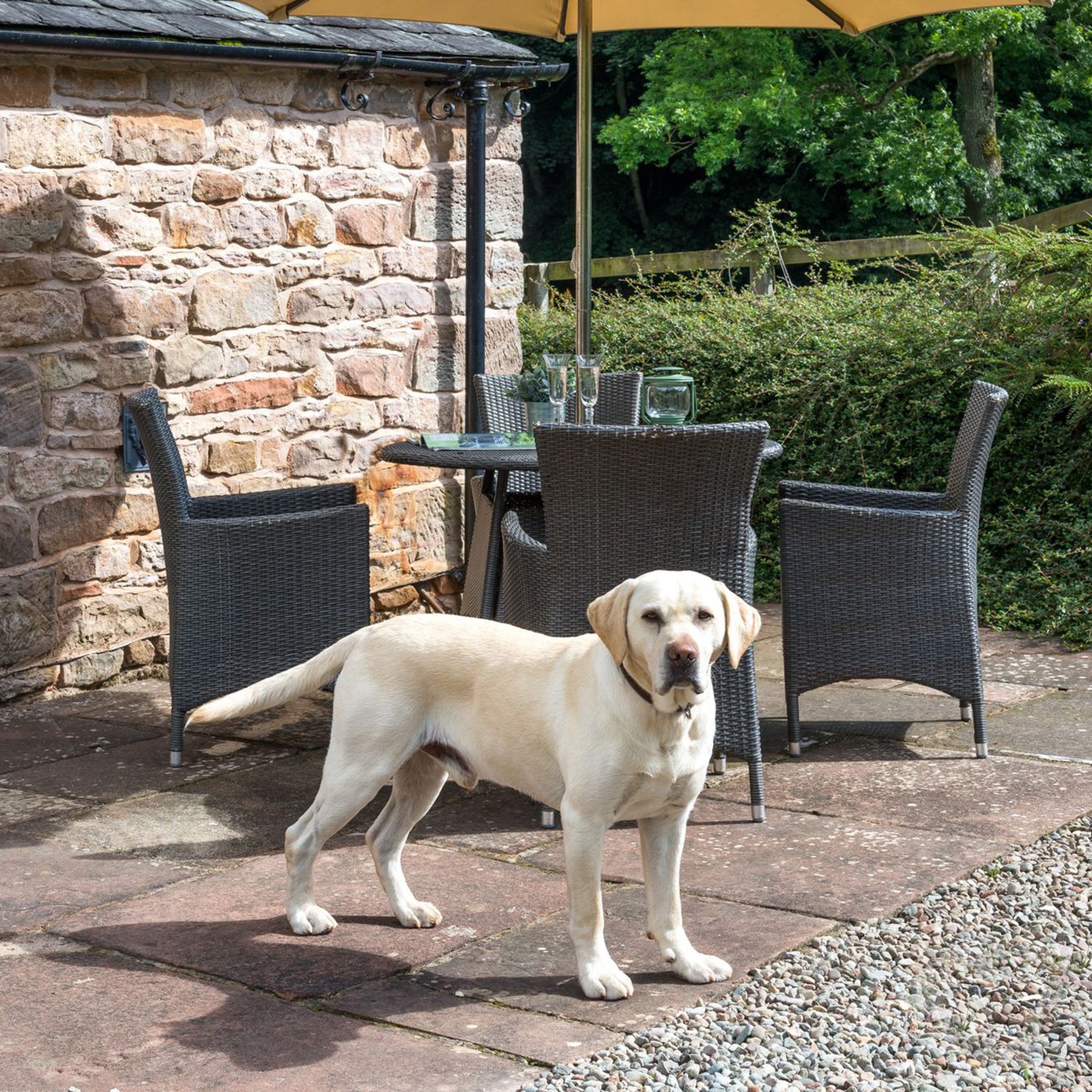 sawdays dog friendly cottages