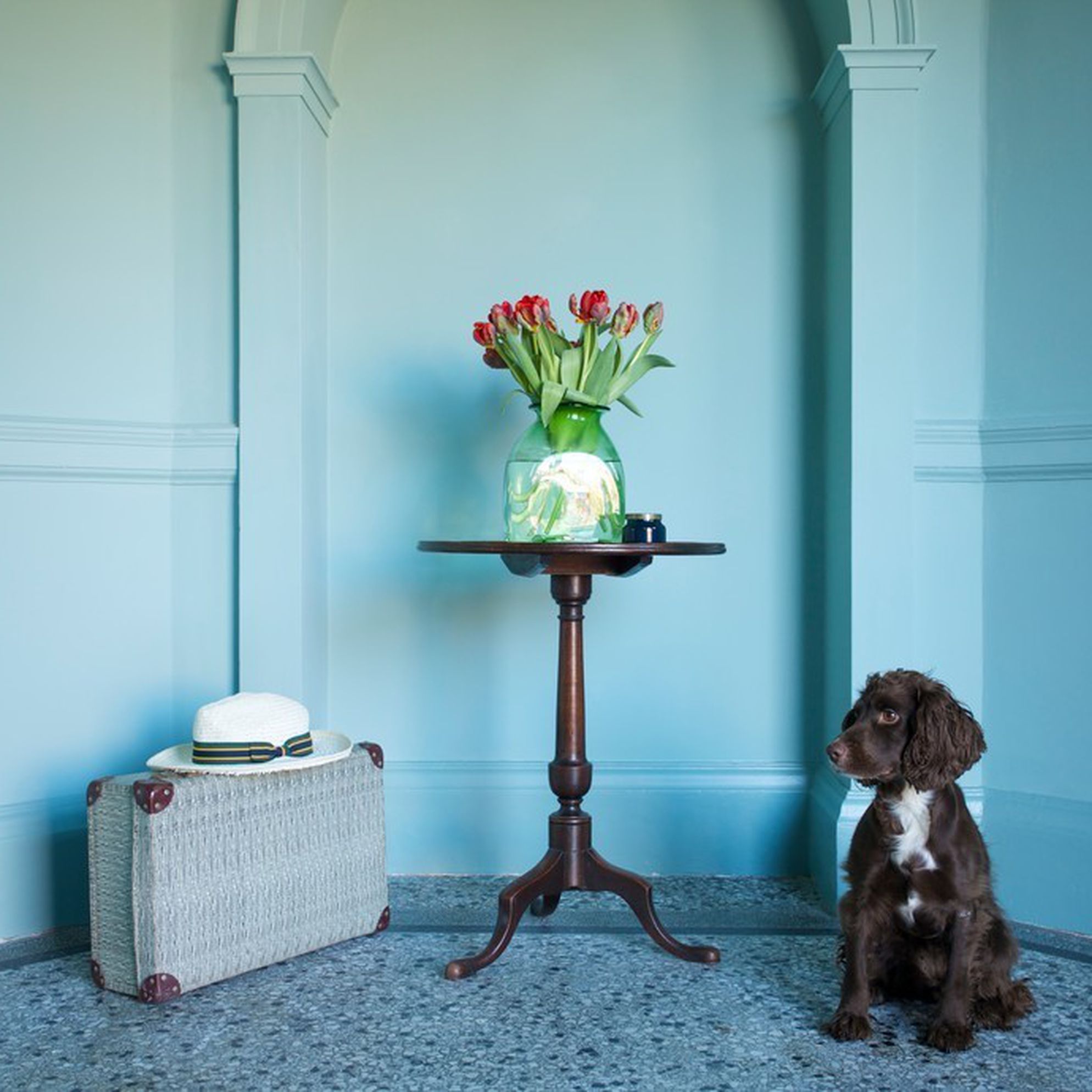 sawdays dog friendly