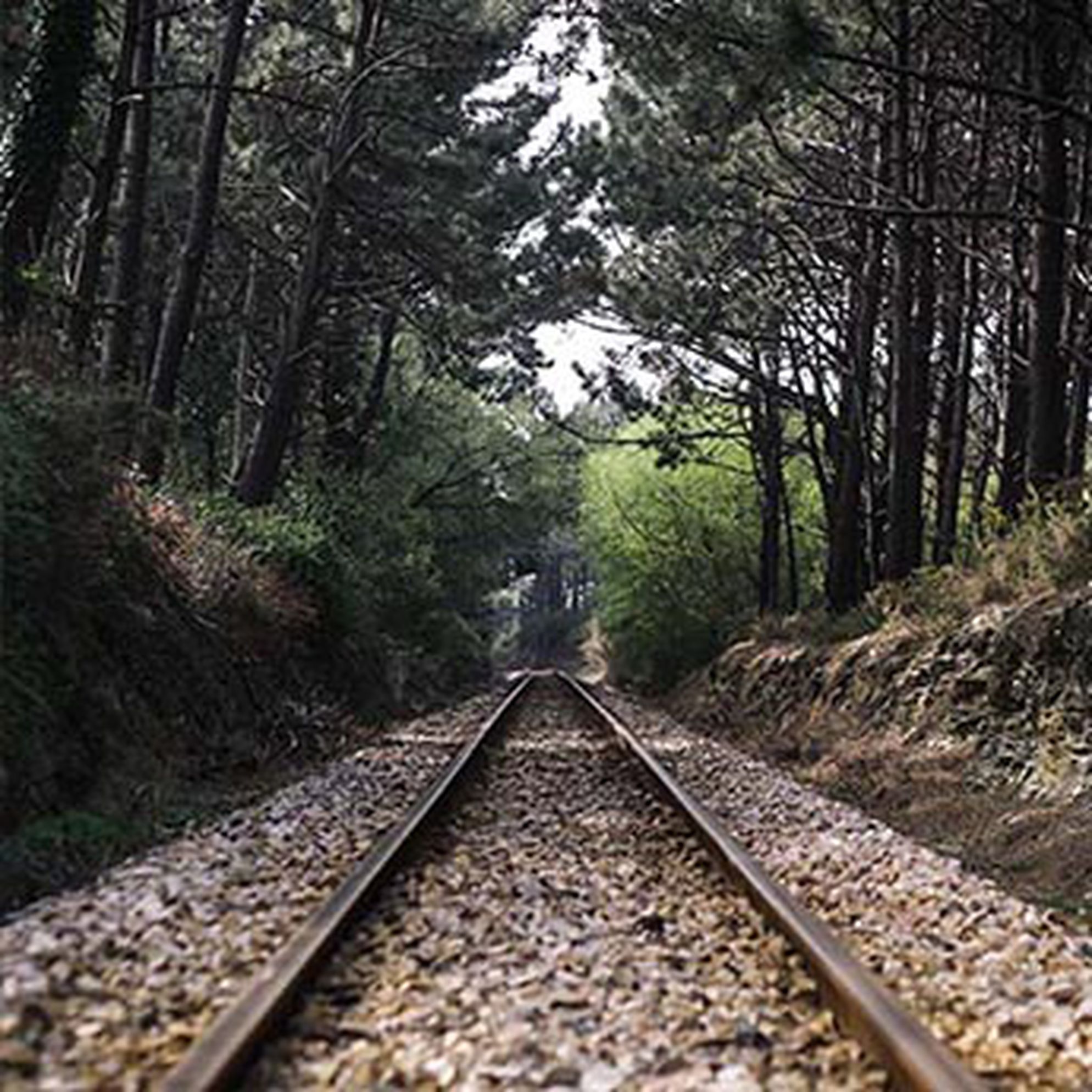 Take Galicia’s slow train