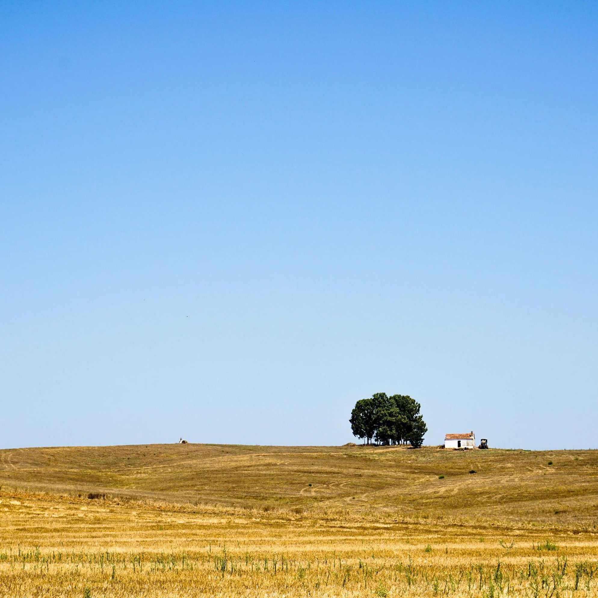 Alentejo: Portugal's wildest region on a budget