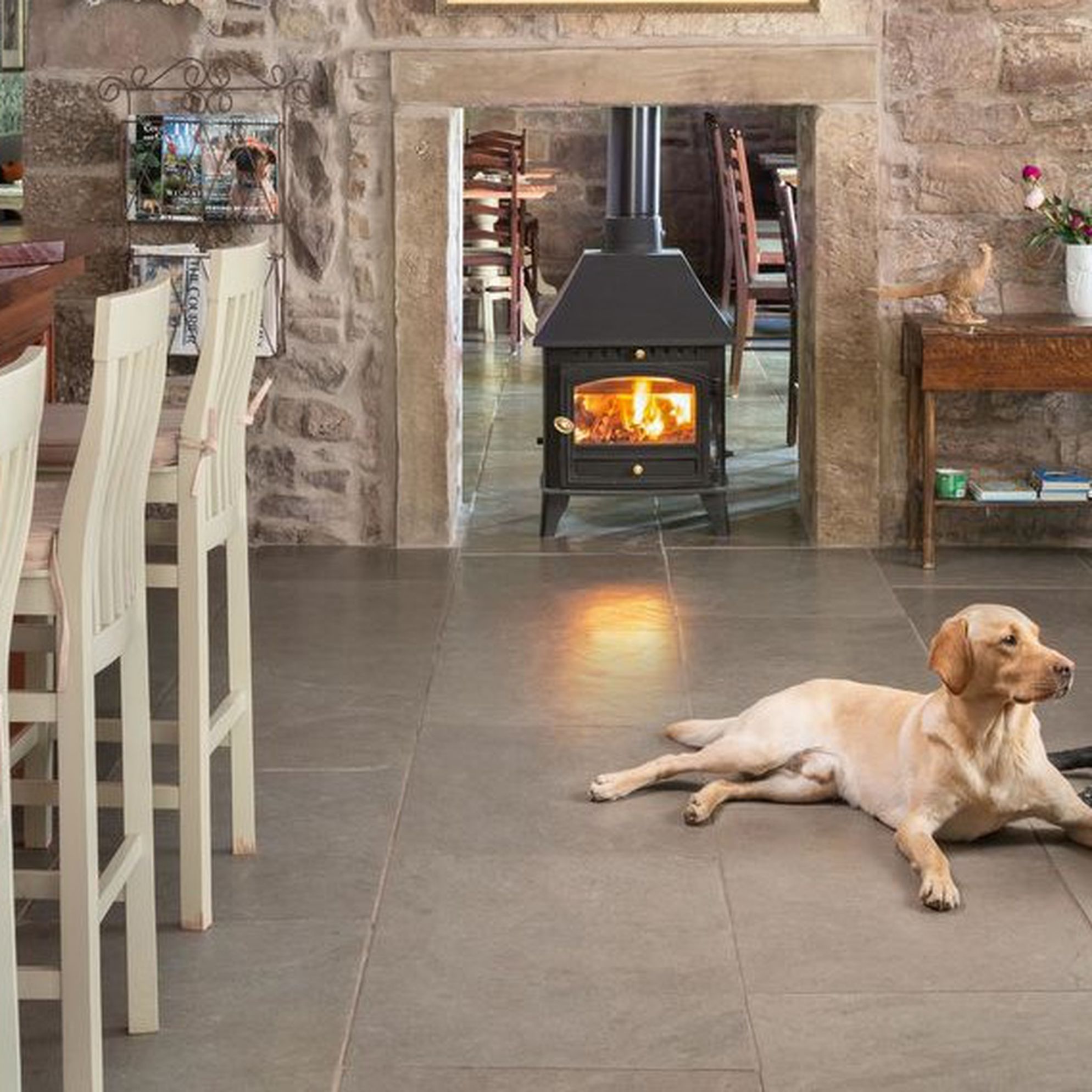 Our top six dog-friendly places for special occasions