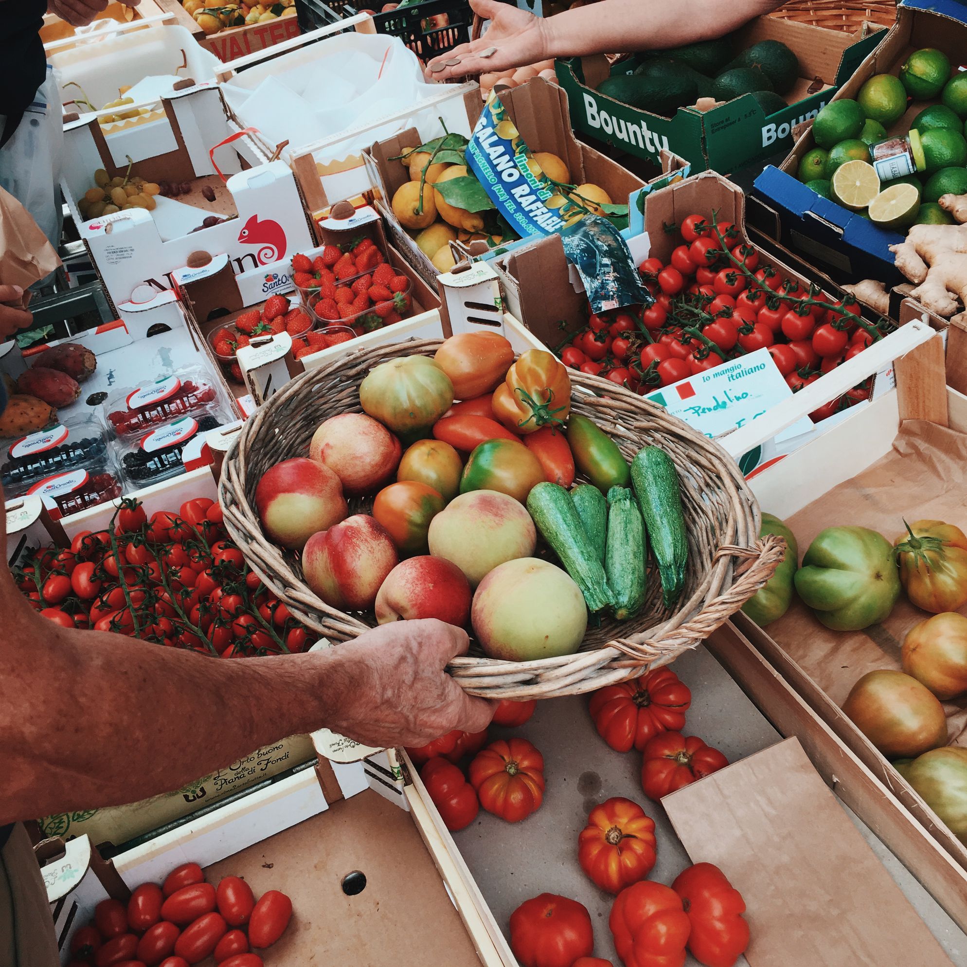 A foodie's guide to Marche