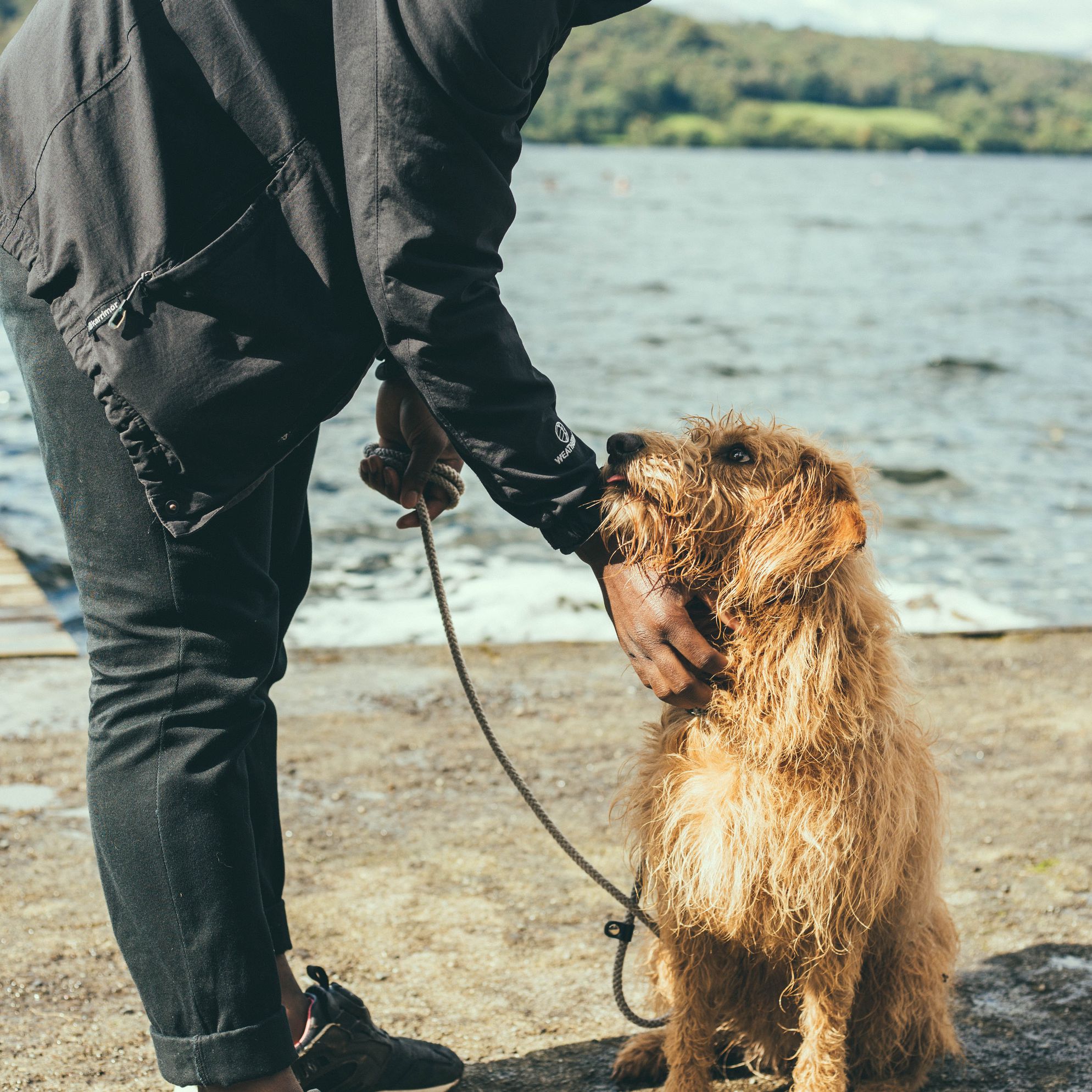 Five reasons to visit the Lake District with your dog