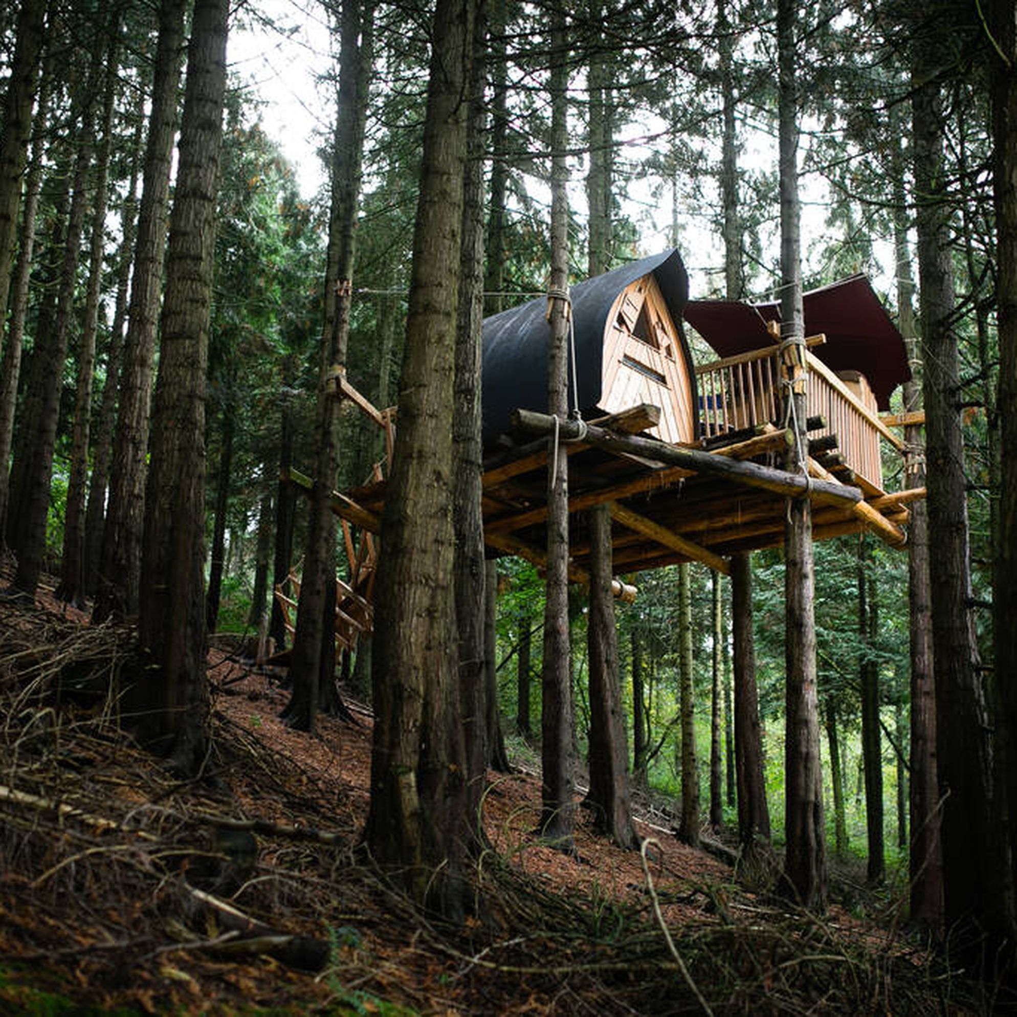 Puckshipton Treehouse