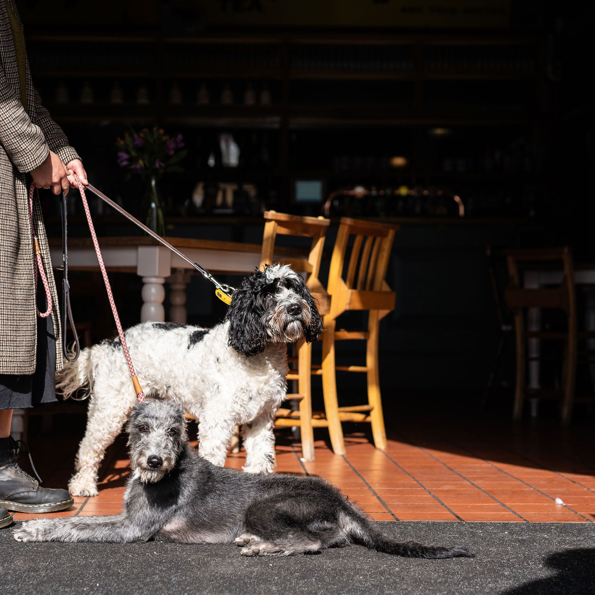 Our favourite dog-friendly pubs in Dorset