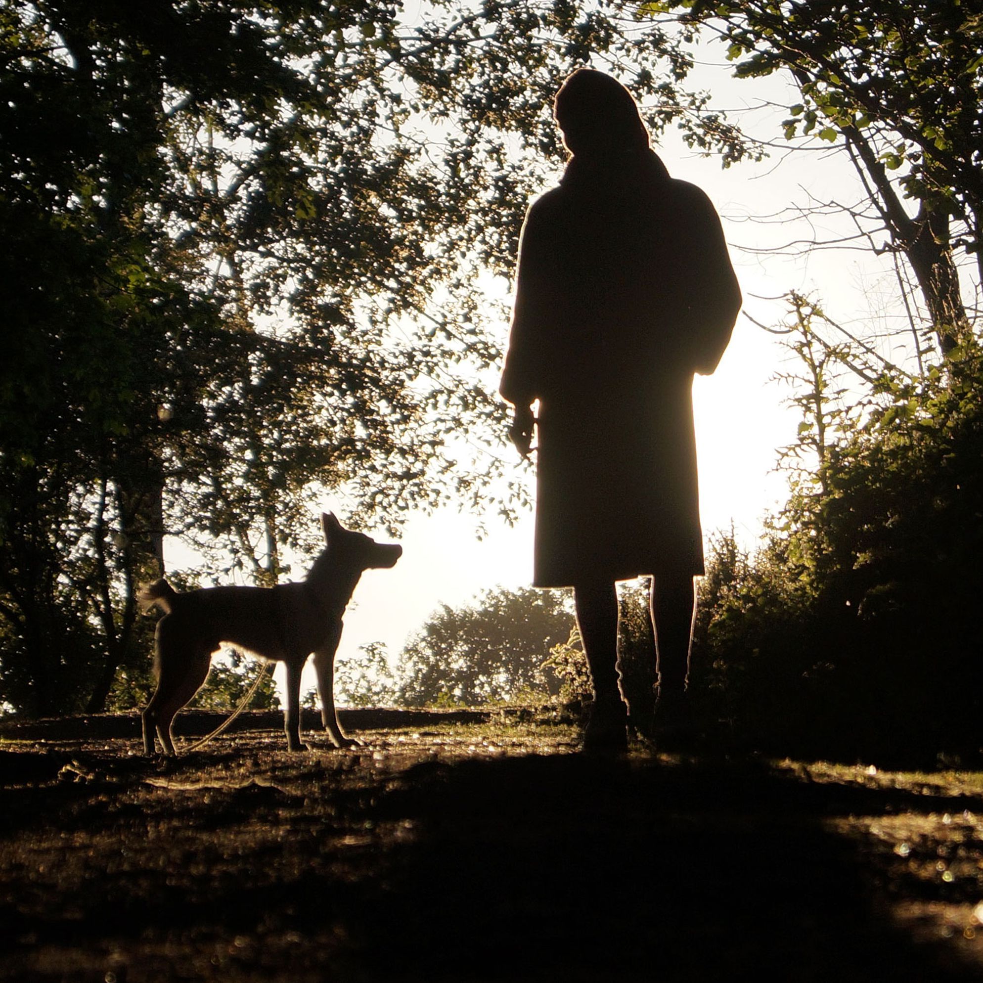 A few of our favourite dog walks in Dorset