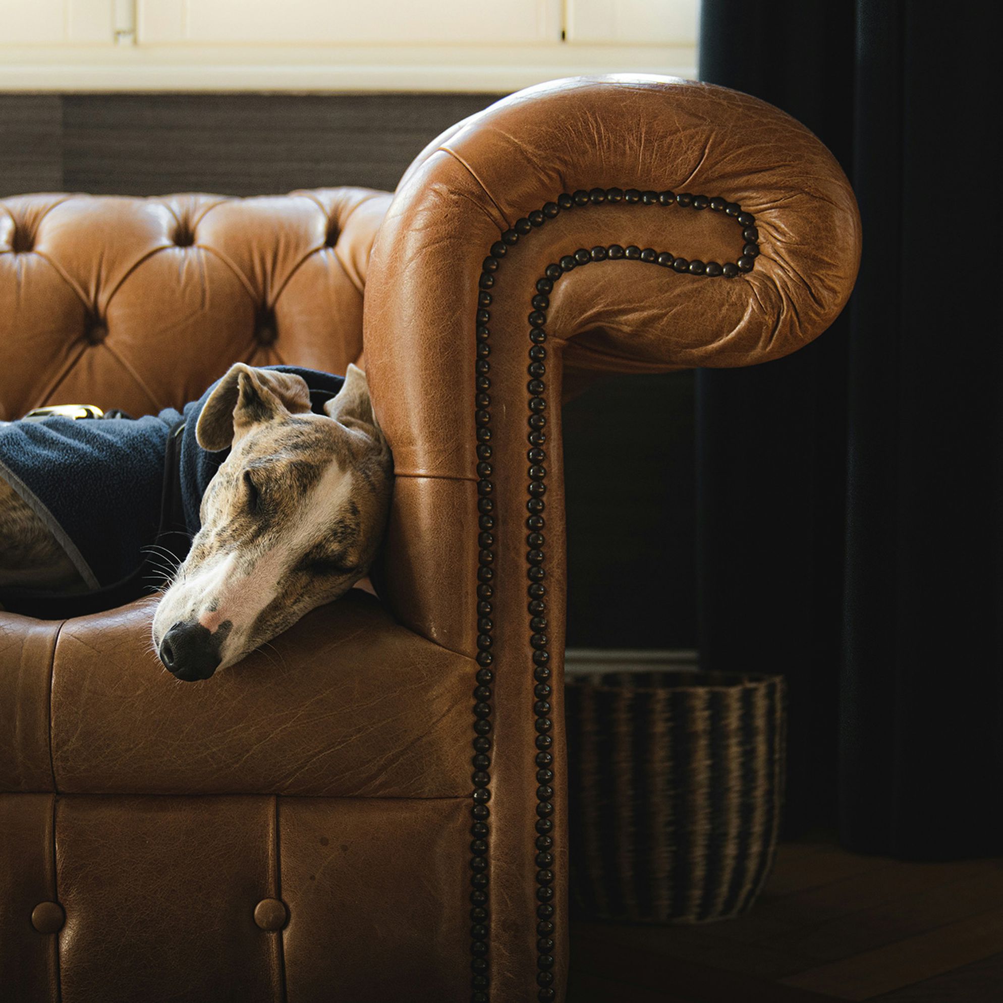 Dog-friendly places to stay in Kent