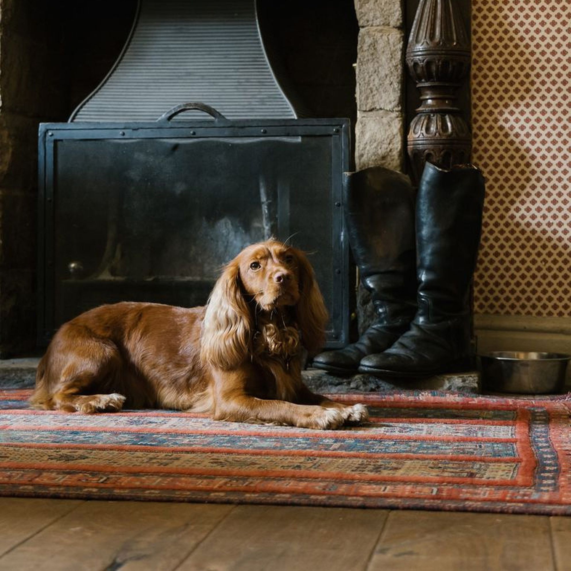 Dog-friendly places to stay in Dorset