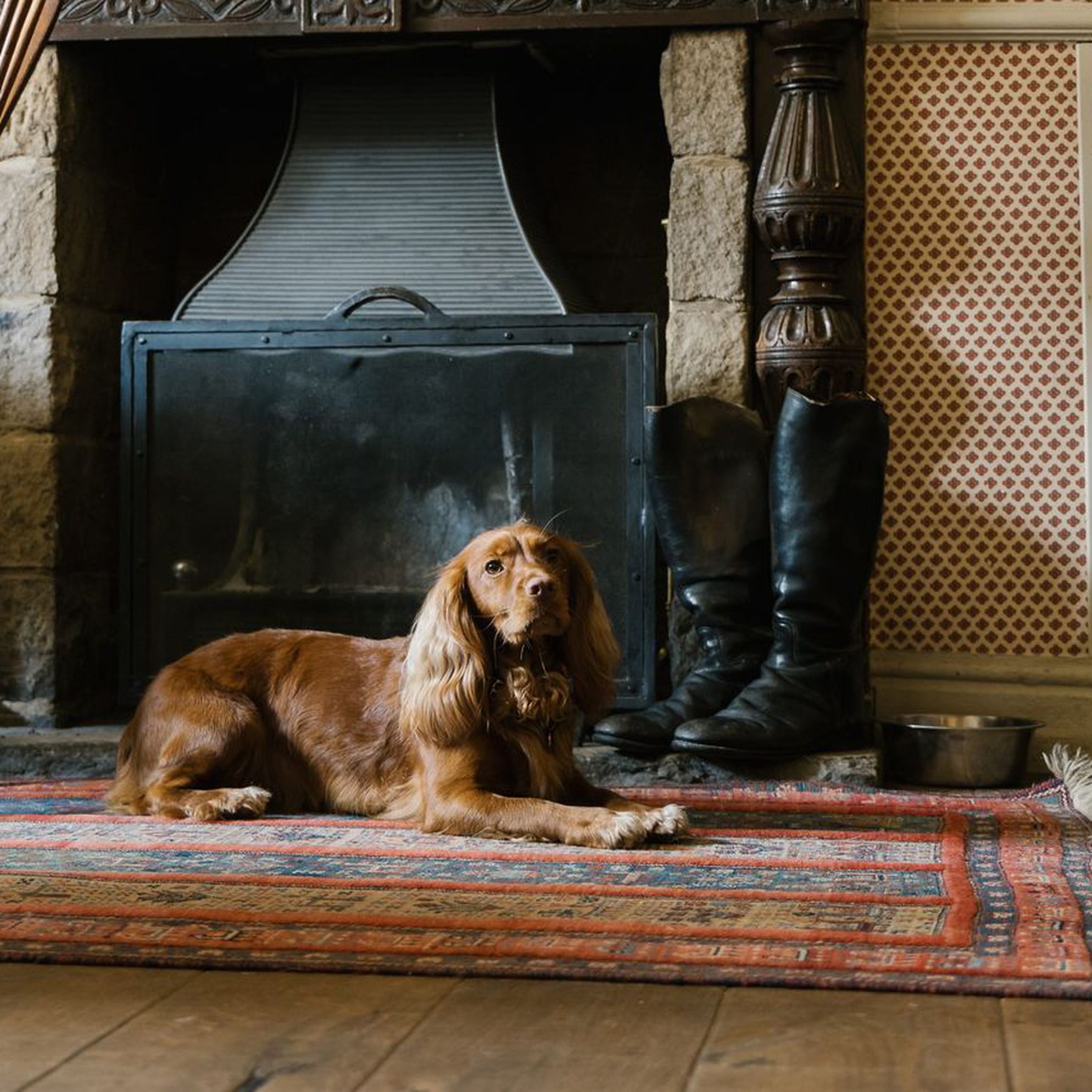 Dog-friendly pubs with rooms
