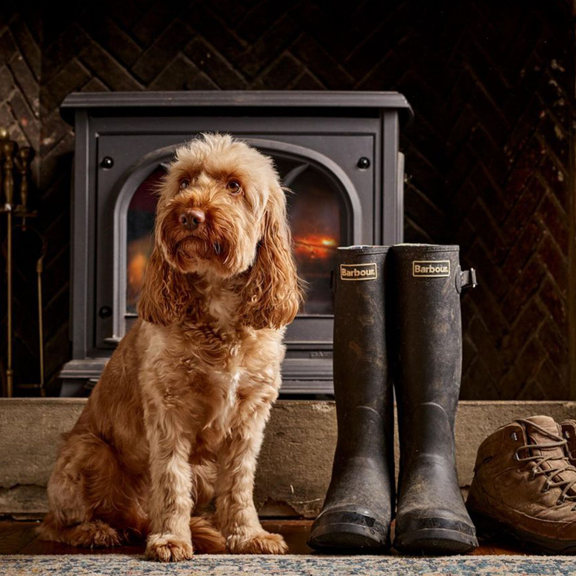 Dog-friendly pubs with rooms in the Cotswolds