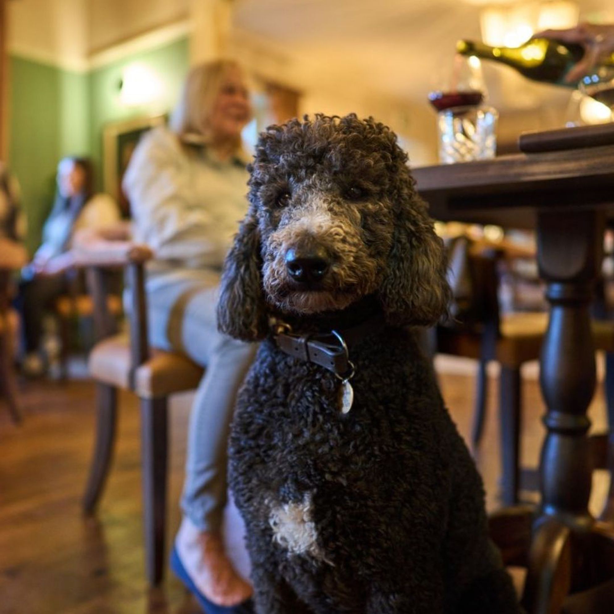 Dog-friendly pubs with rooms in Cornwall