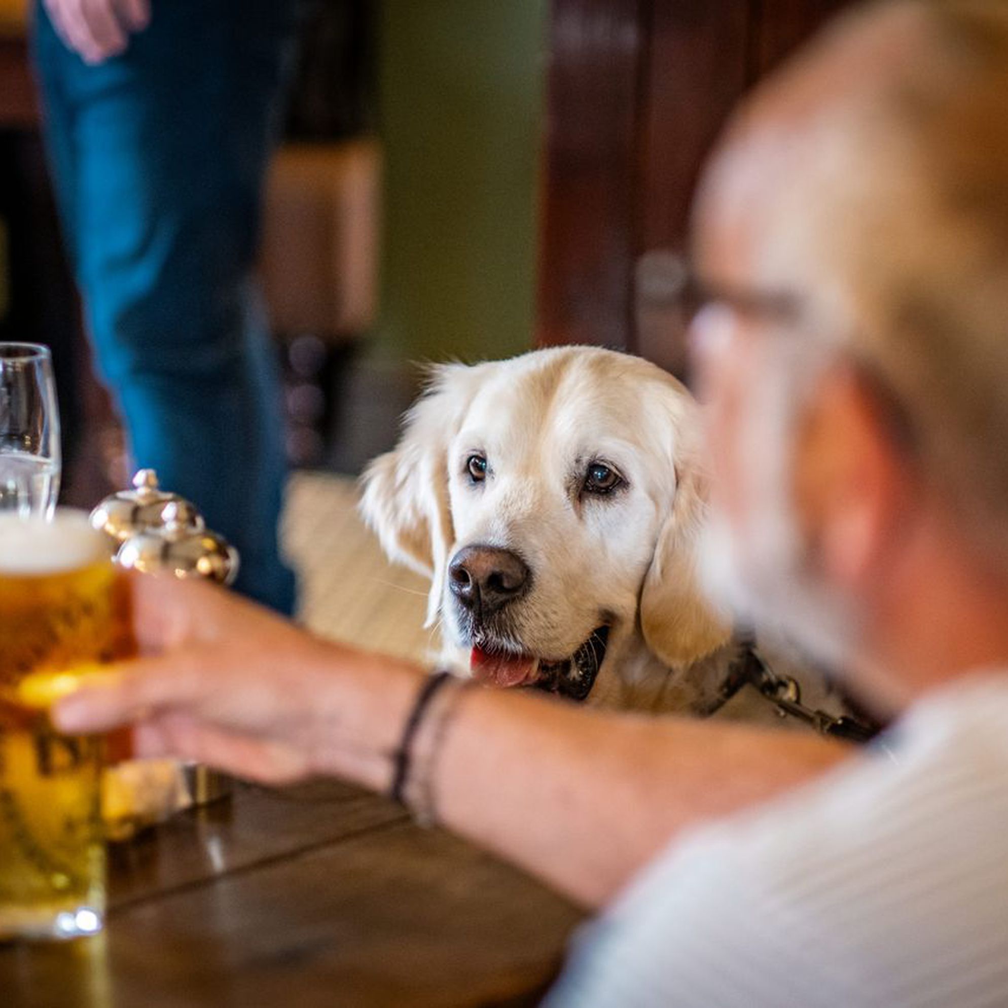 Dog-friendly pubs with rooms in the Lake District