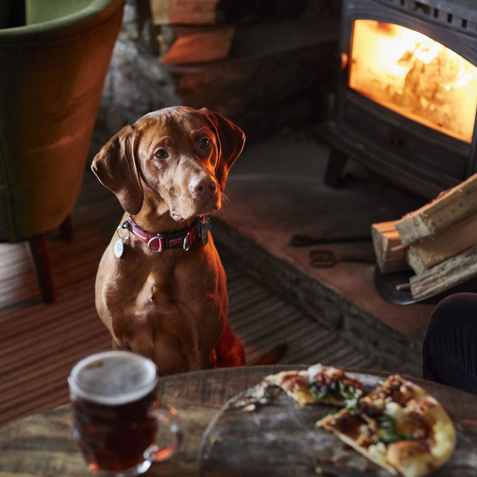 Dog-friendly pubs with rooms in Somerset
