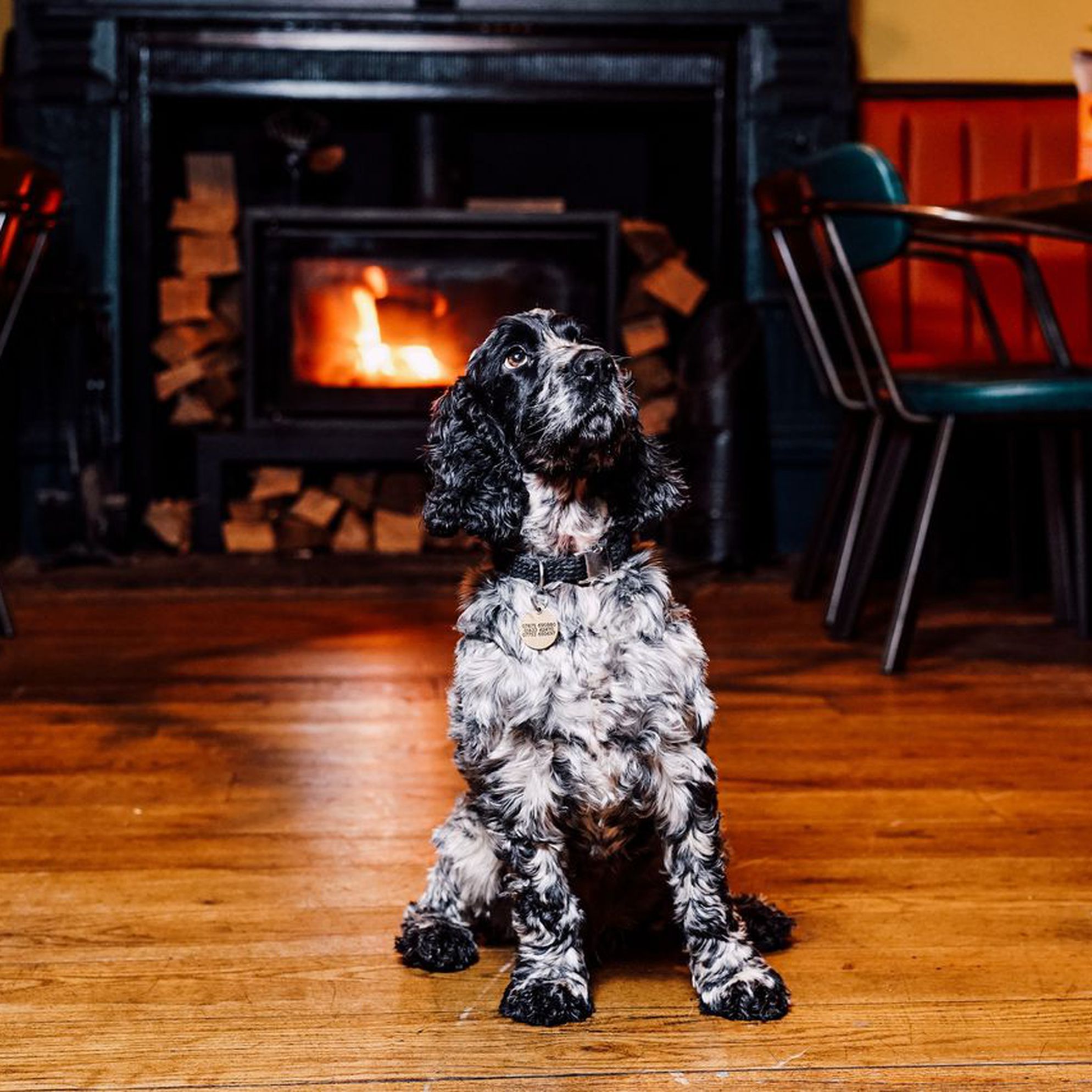 Dog-friendly pubs with rooms in the Peak District