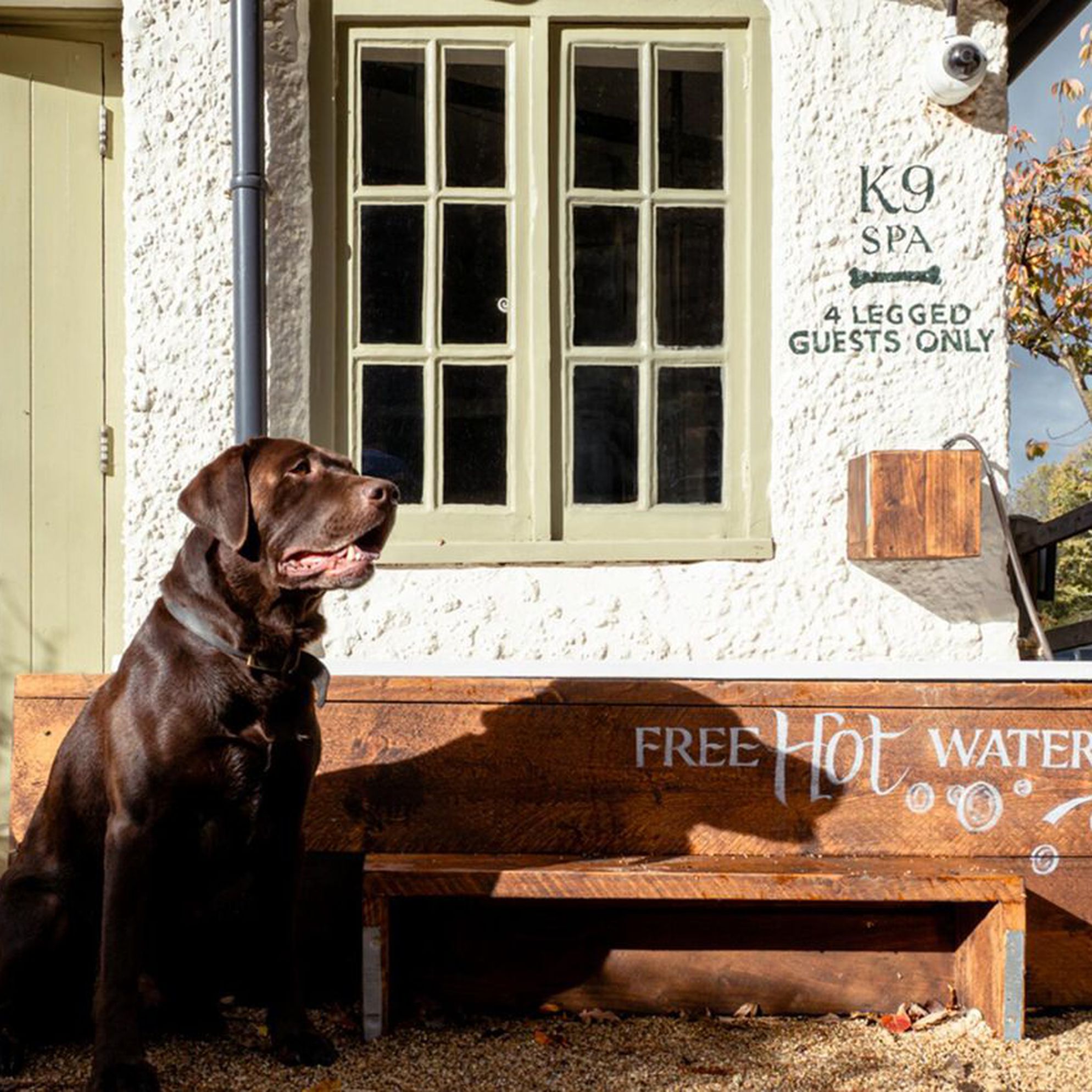 Dog-friendly pubs with rooms in Hampshire