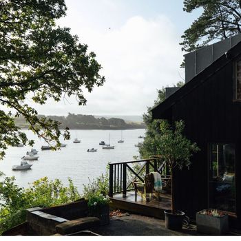 First week of August collection