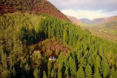Four sustainable holidays for 2020