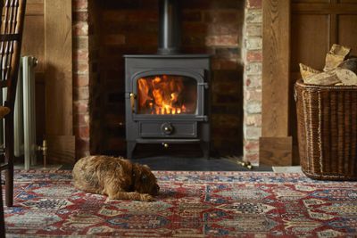 Dog-friendly breaks