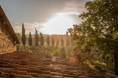 Sawday's at Home: In Italy