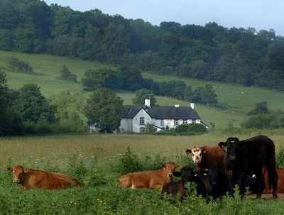 Best pubs after a long walk 