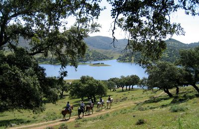 The Pilgrimage of La Peña