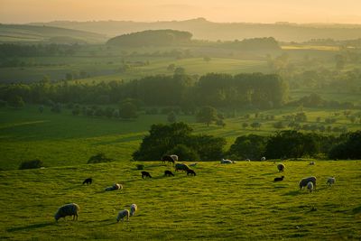 An eco-friendly guide to Yorkshire