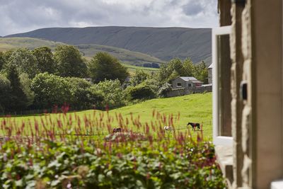 Best UK hikes for celebrating spring