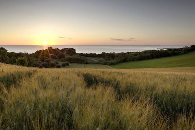 Marche: walking Italy's less-travelled paths