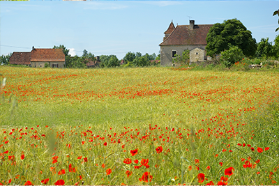 Bad French, wonderful France - my first ever gîte holiday