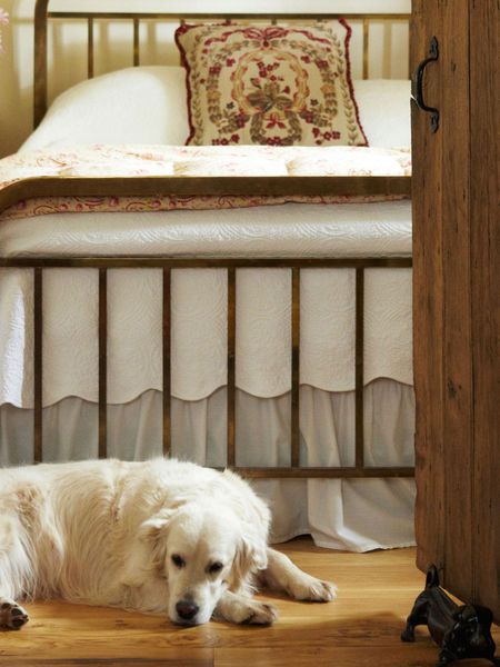 Dog-Friendly Cottages collection