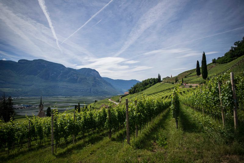 Marche’s Slow Food train trail