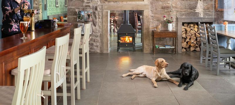 Our top six dog-friendly places for special occasions