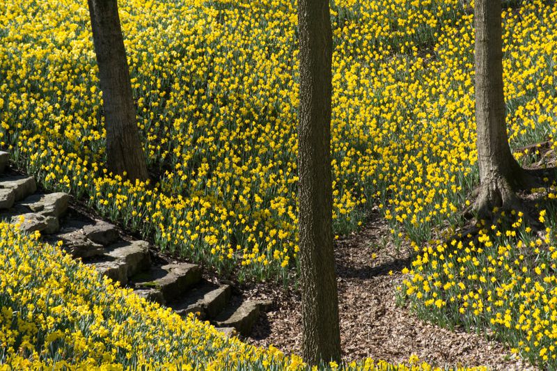 Best UK hikes for celebrating spring