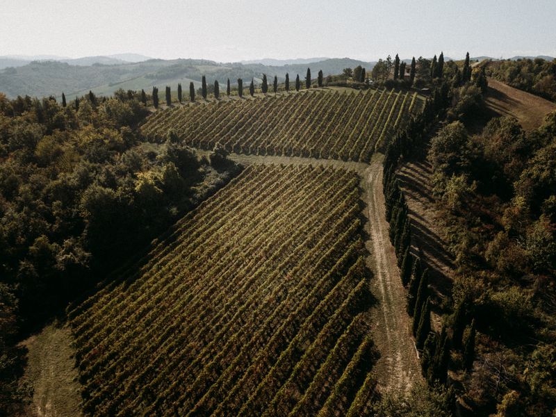A simple guide to Italy’s famous wine regions