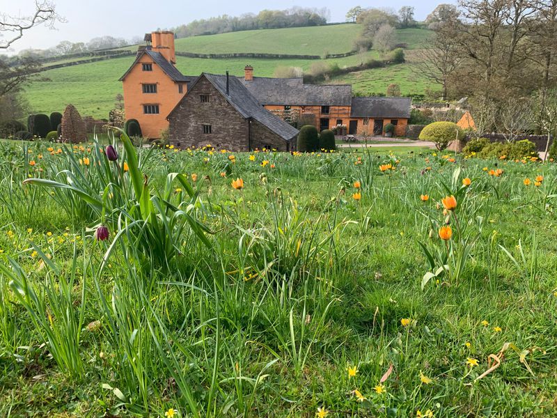 Arne Maynard shares the experiences of his garden during spring