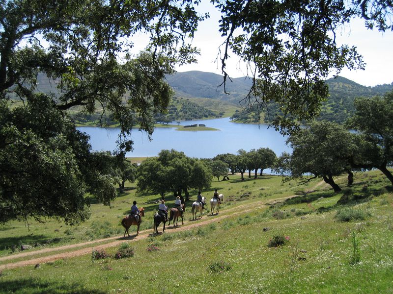 The pilgrimage of La Peña
