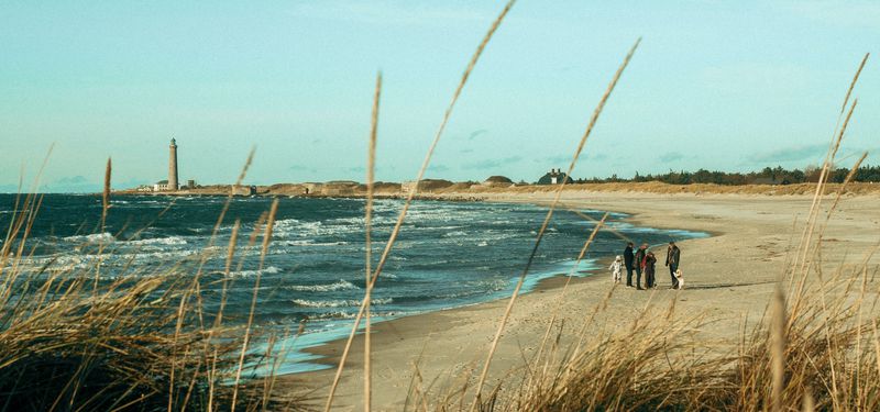 Five best dog-friendly beaches for winter