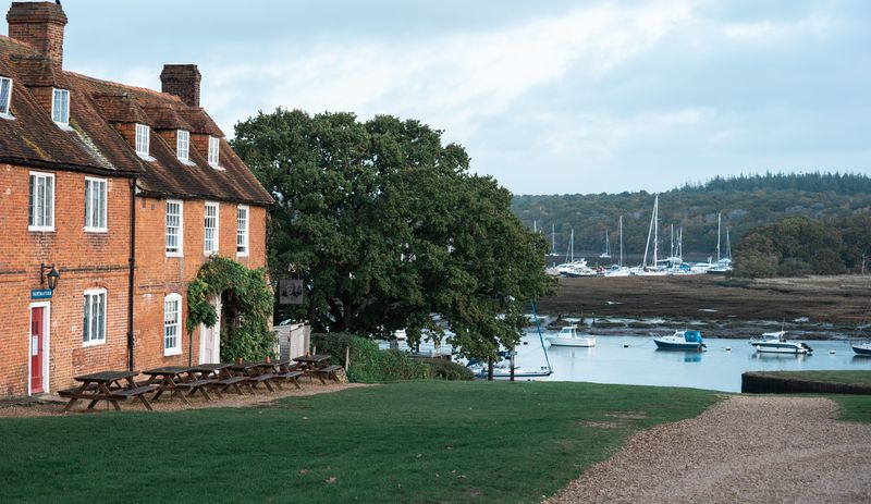 Slow Guide to The New Forest