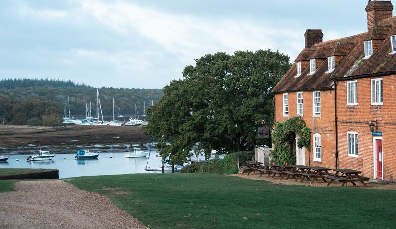 Slow Guide to The New Forest