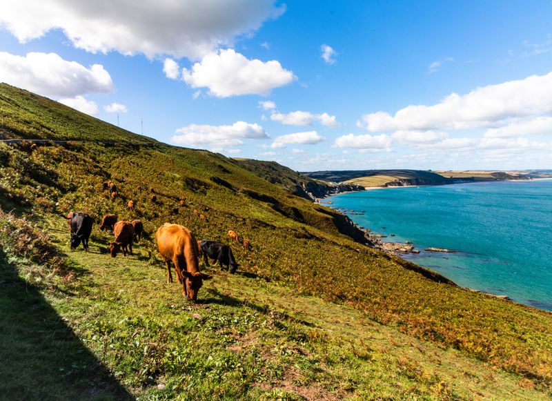 Five best walks in Devon
