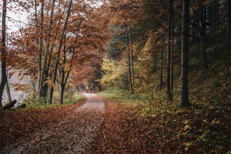 Five of the best walks to welcome autumn