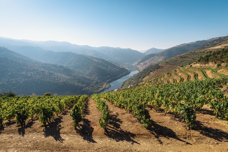 Salt pans, green wine and riverside trains – Portugal’s blend of rural and urban