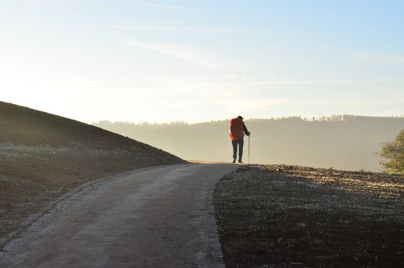 Sleepers, hikers and octopi: flightless France in 2022