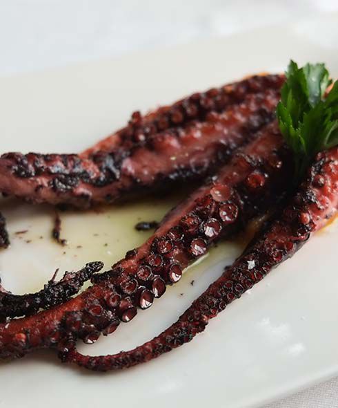 Octopus tapas 