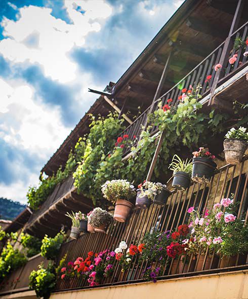 Geraniums in window boxes hostelats tim moore