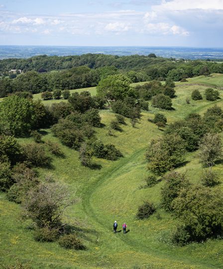The Slow Guide to Cotswolds